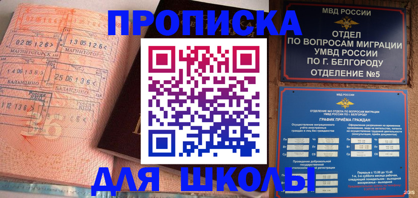 прописка иностранных граждан в Дальнереченске